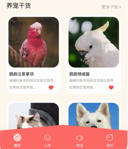美鹦鹉APP安卓版功能界面截图