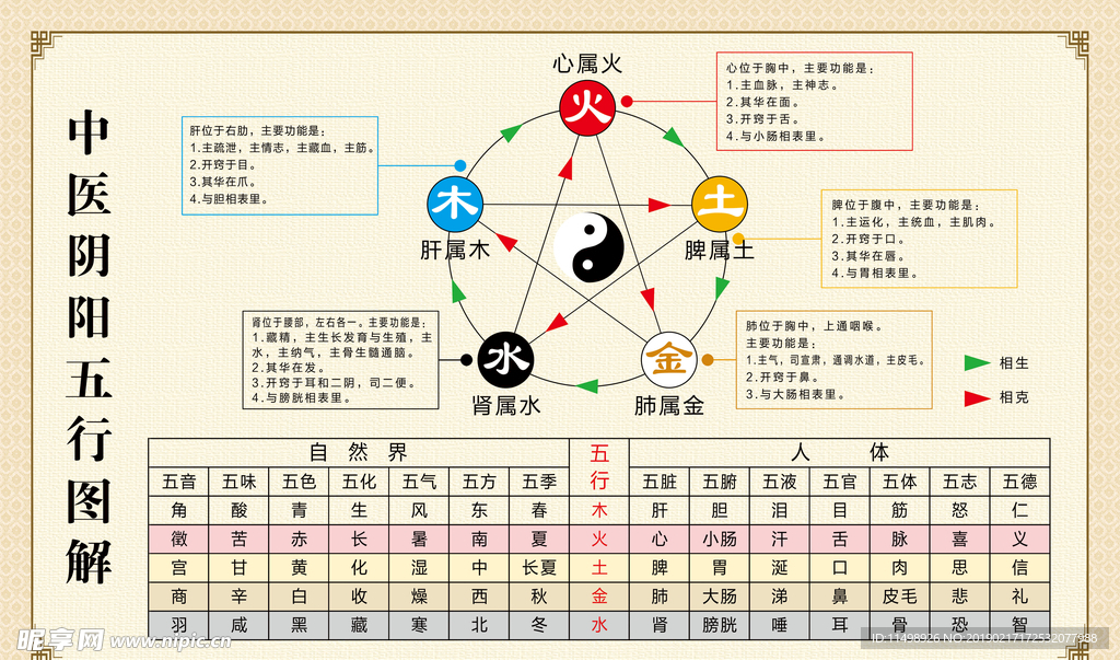 寅沐易学八字命理阴阳五行基础图解