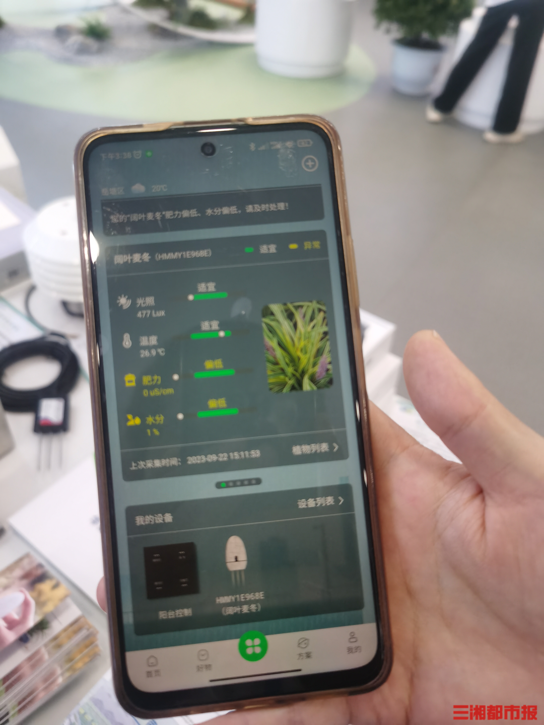 地林林安卓版 苗木清点界面截图