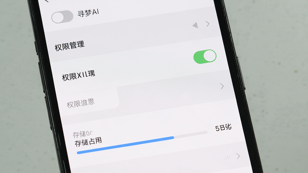 主体为手机屏幕显示寻梦AI的权限设置与存储管理界面,布局为纵向列表排列,排版清晰分区,风格为系统设置页面的简约灰白风格,细节包括权限开关按钮与存储占用进度条,画面中文字标注“寻梦AI”与“权限管理”,画质高清,干净,无多余元素