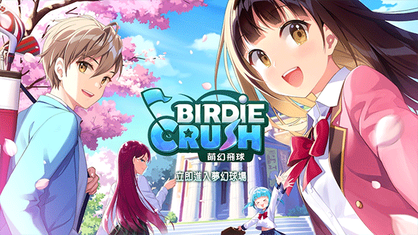 BirdieCrush安装器 安卓版 操作界面