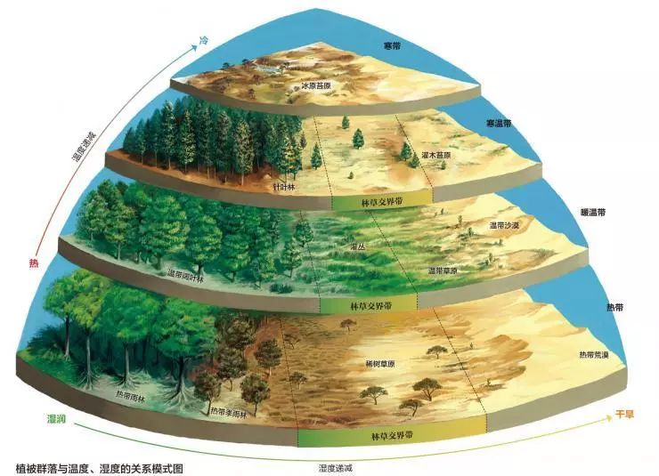 地林林在不同语境下的意思和用法