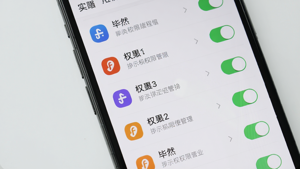 主体为手机屏幕显示应用权限管理界面,布局为权限列表纵向排列,背景为浅灰色,风格为简洁实用,细节包含开关按钮、权限图标、提示文字,画面中文字标注“毕然”,画质清晰,干净,无多余元素