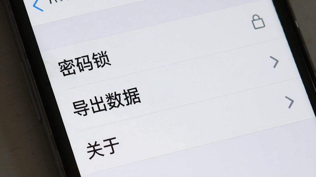 一部手机屏幕显示Pocket Diary的设置菜单界面,布局为列表式选项,包含“密码锁”、“导出数据”、“关于”等条目,排版整齐,风格为扁平化设计,细节包括浅灰色背景和深色文字,画质清晰,干净,无多余元素