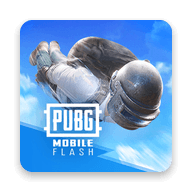 PUBGM FLASH��װ��