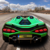 ���ٹ�·����ģ����(Highway Car Simulator)0.1.33 ��ʵ��ʻ����