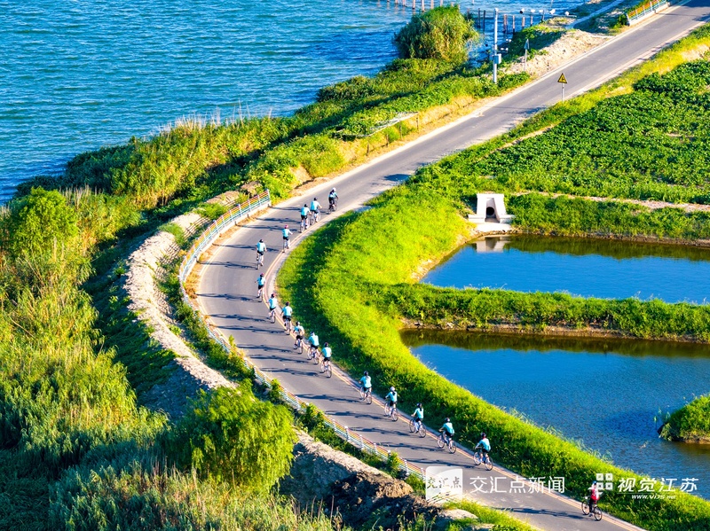 流星摩途城区绿道骑行路段图片