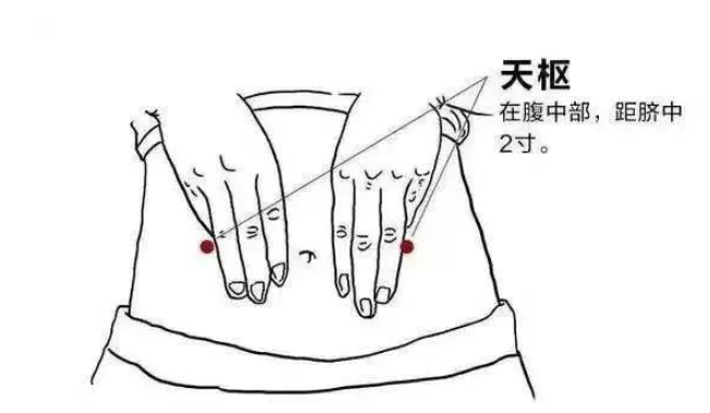 天枢康养生日常作息情绪调理脾胃场景图