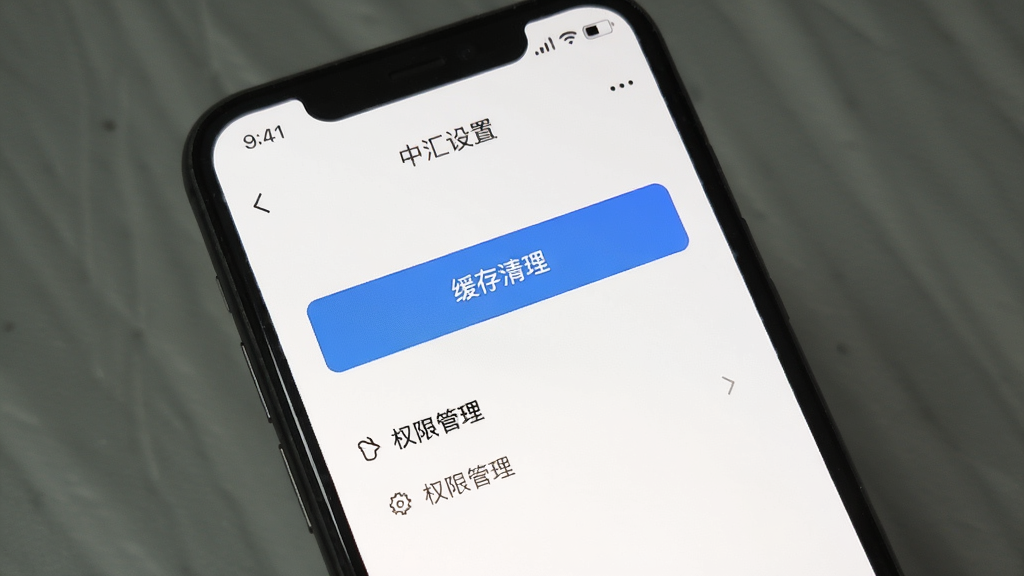 手机展示中汇设置页面,页面中有缓存清理按钮与权限管理选项,界面排版规整,背景为白色,风格简约,画质清晰,无多余装饰