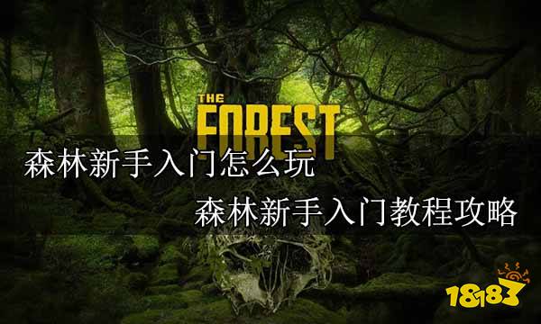 Aelu森林 安卓版 新手教程界面