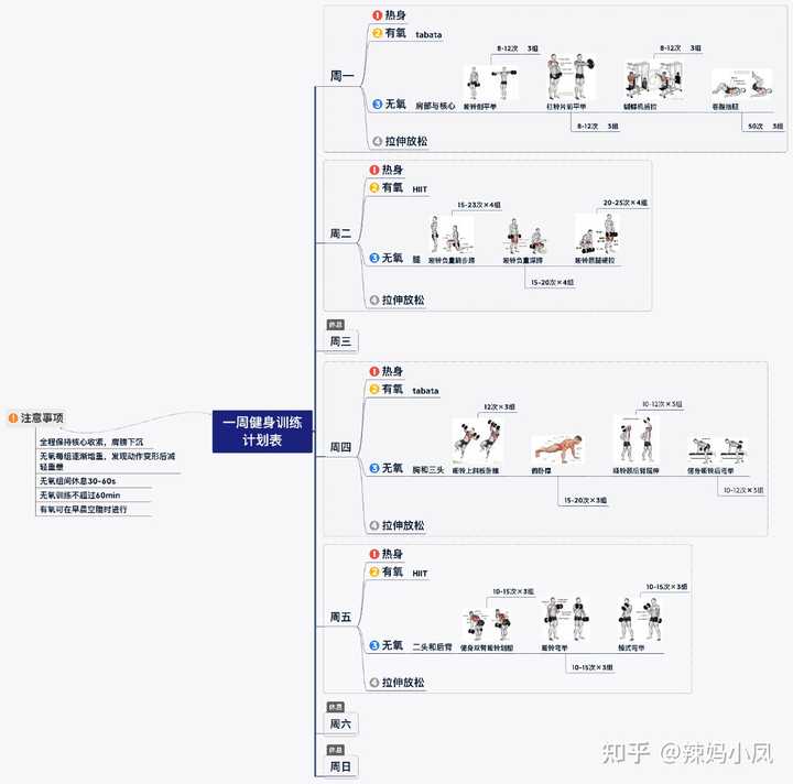 GaoFit居家健身计划新手减脂塑形全攻略 在家训练动作与计划安排