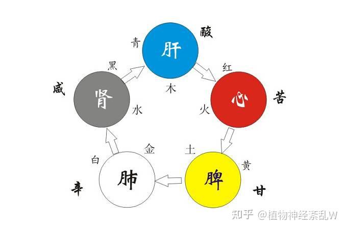 有爱中医讲作息情绪对脾胃的影响