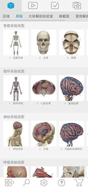 人体解剖学图集 安卓版 安装教程