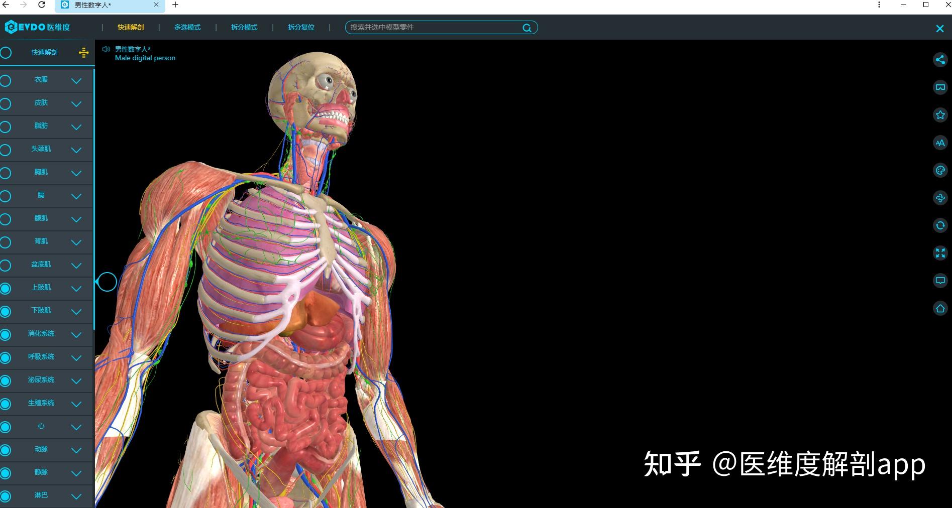 人体解剖学图集 安卓版 三维模型界面