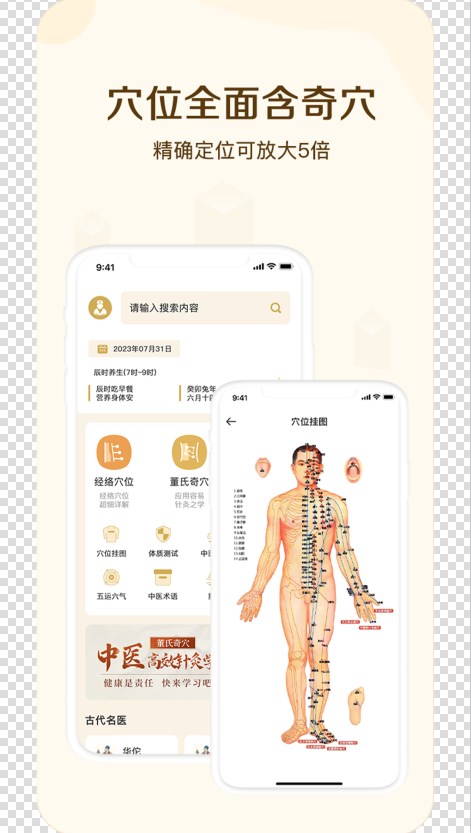 中华经络穴位 安卓版 经络穴位图
