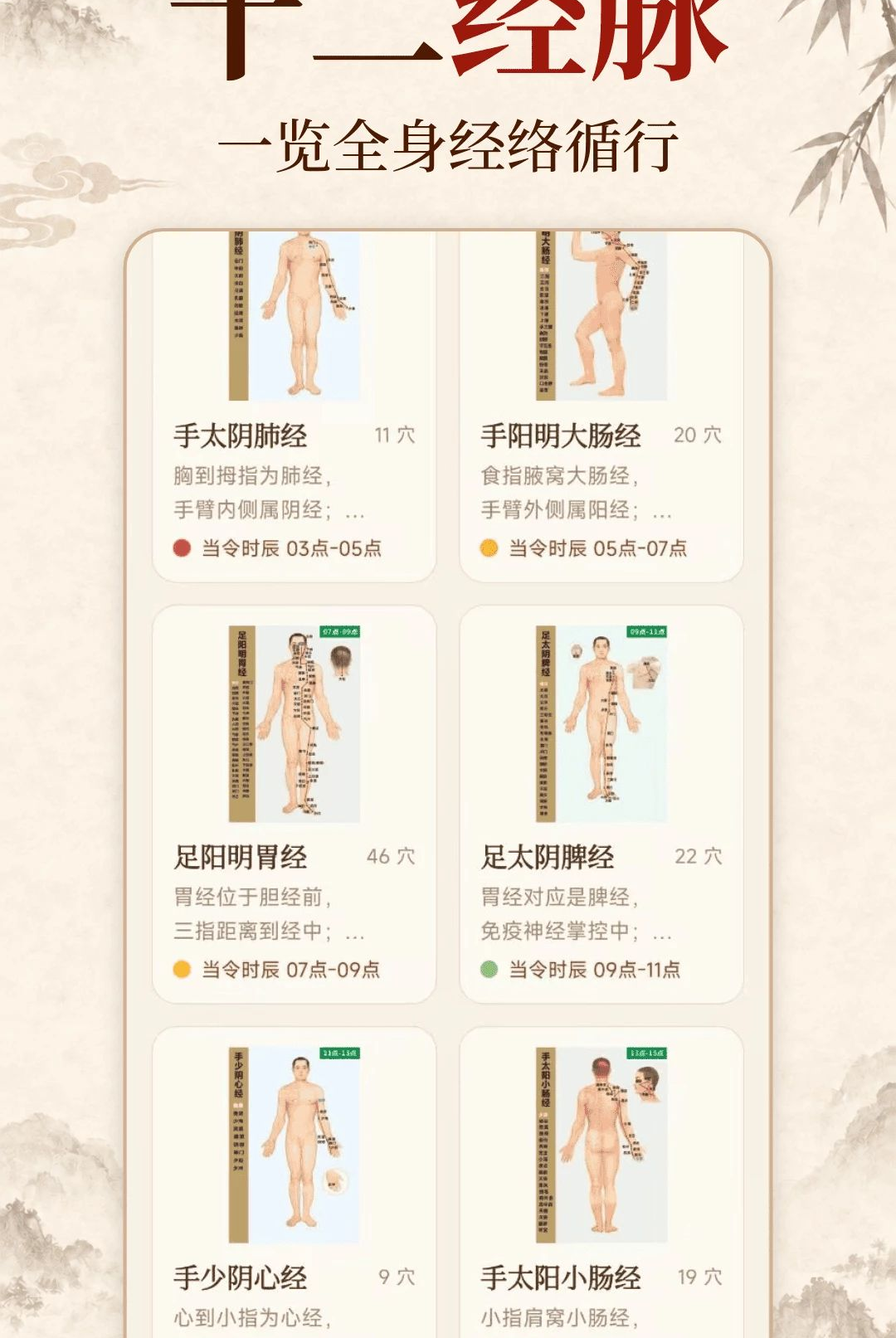 �л�����Ѩλ1.0.0 ����Ѩλѧϰ