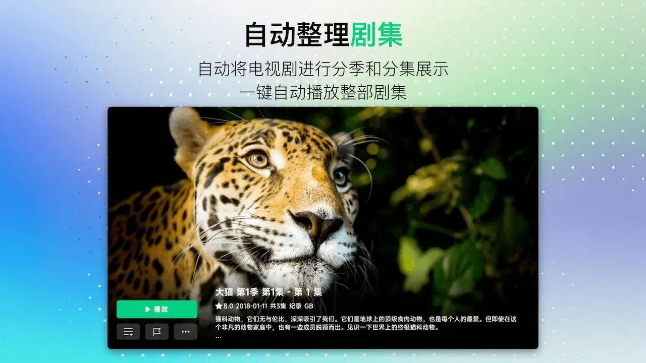 VidHub3.0.2 ��Ƶ���Ź���