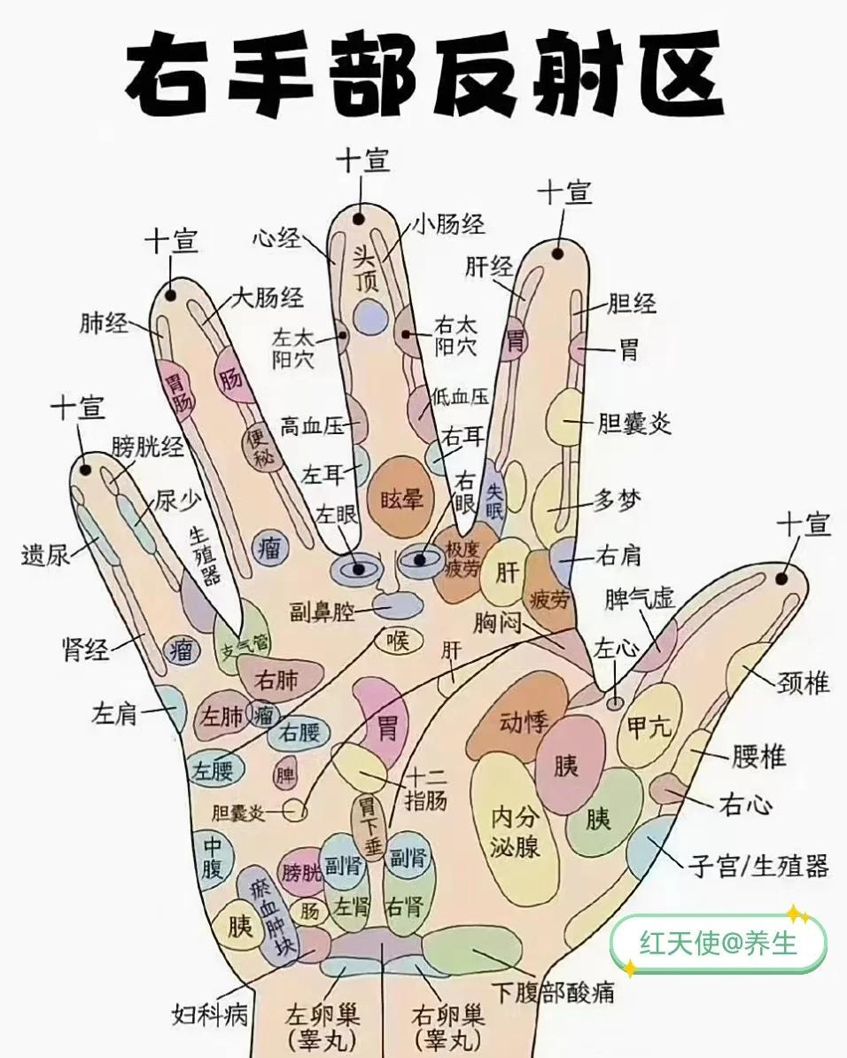 掌轻松 在家缓解手掌酸痛方法全解析